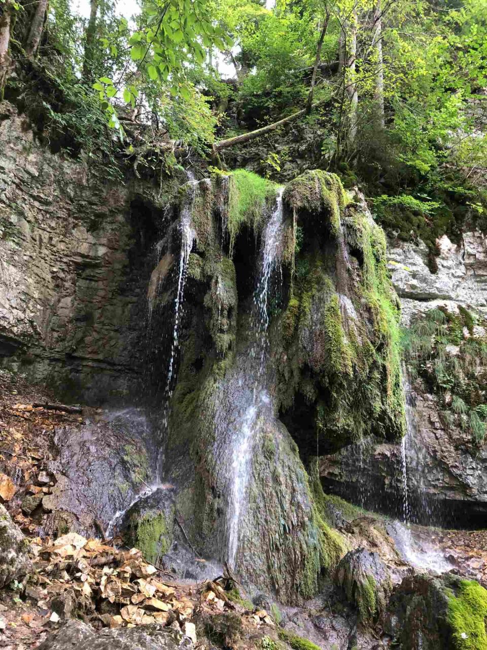 	14 3 Tage auf dem Schluchtensteig im Südschwarzwald